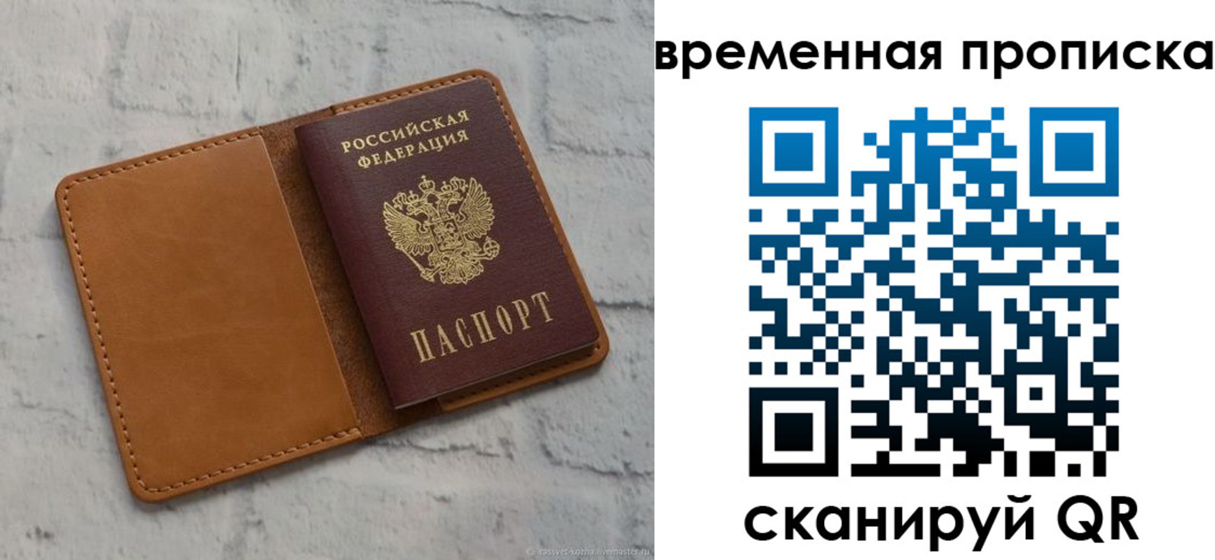 прописка поиск в Электрогорске